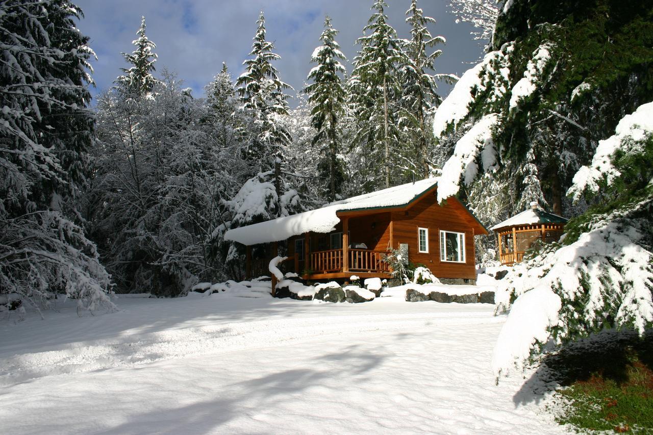 Copper Creek Inn Ashford Luaran gambar