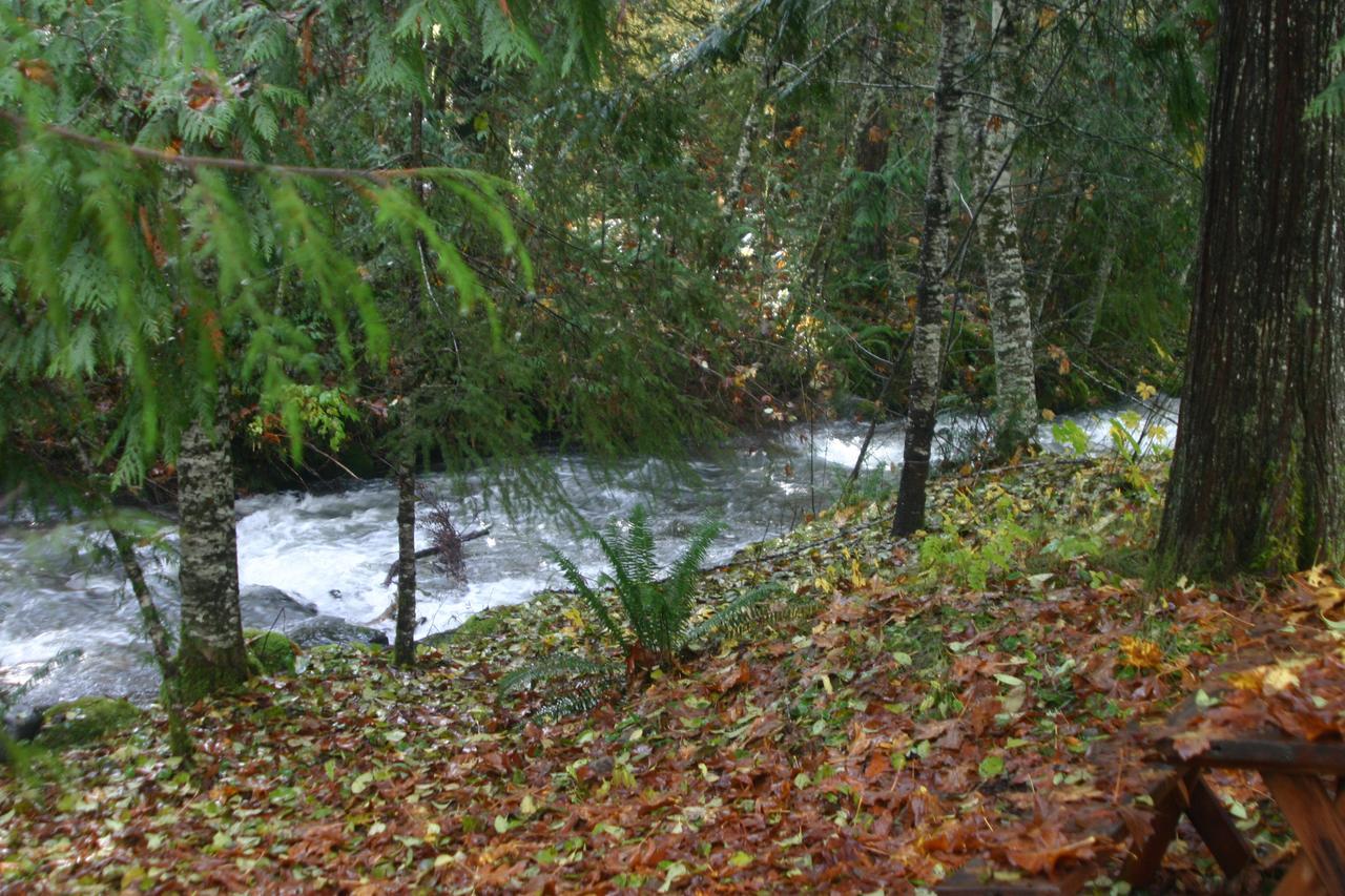 Copper Creek Inn Ashford Luaran gambar